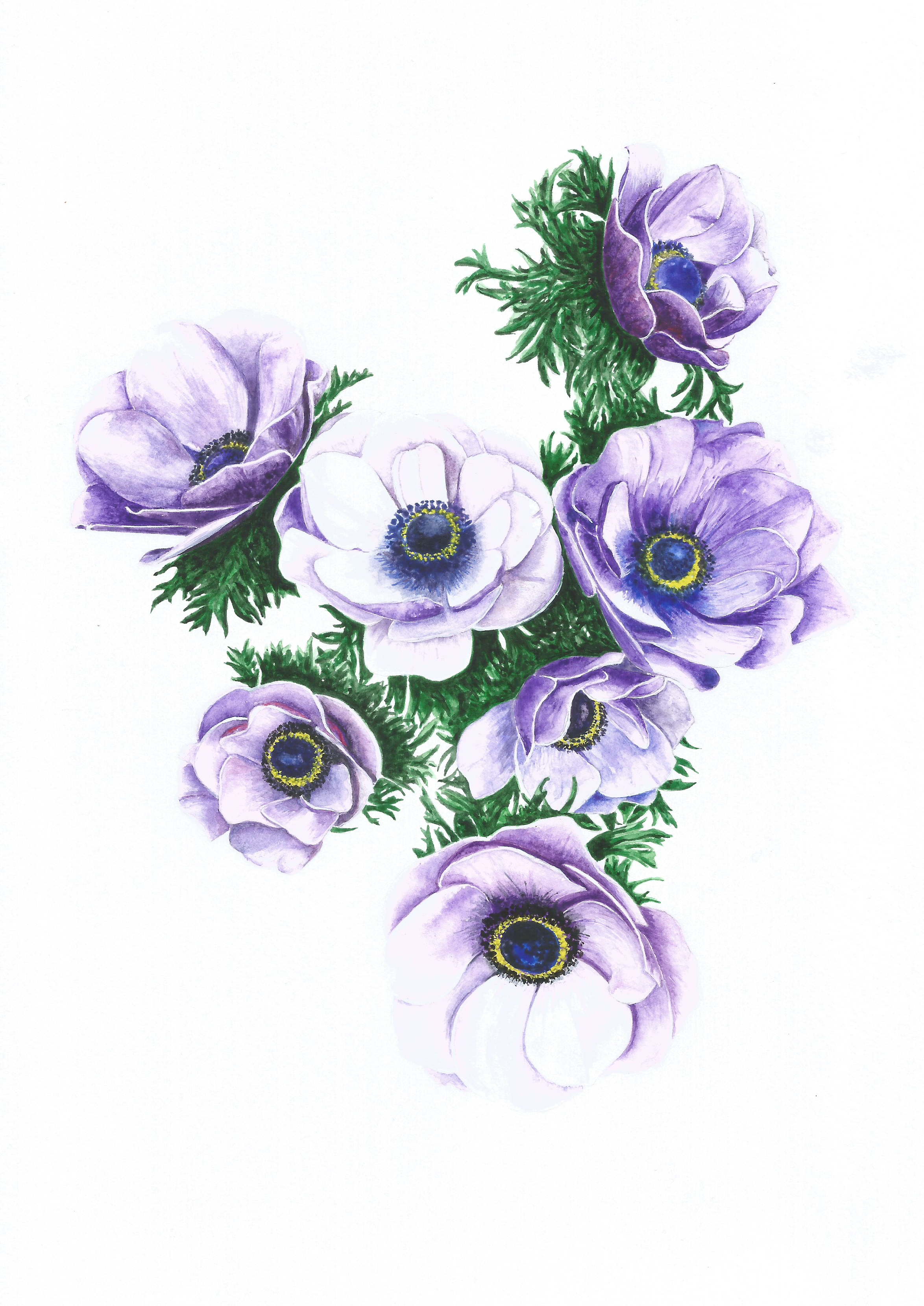 Anemones in Violet - Original Watercolour