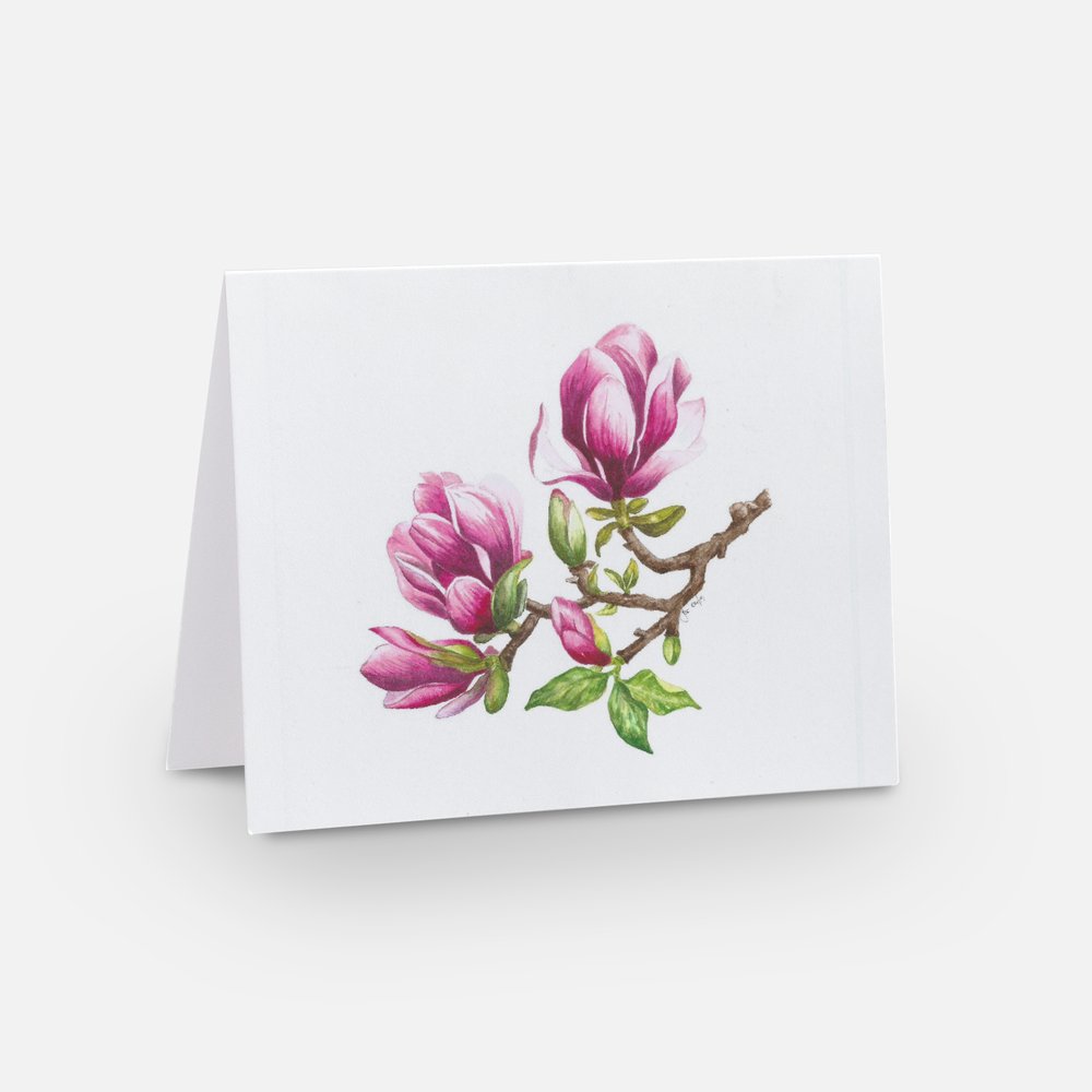 Magnolia Blossom Study Note Cards (Set of 10)