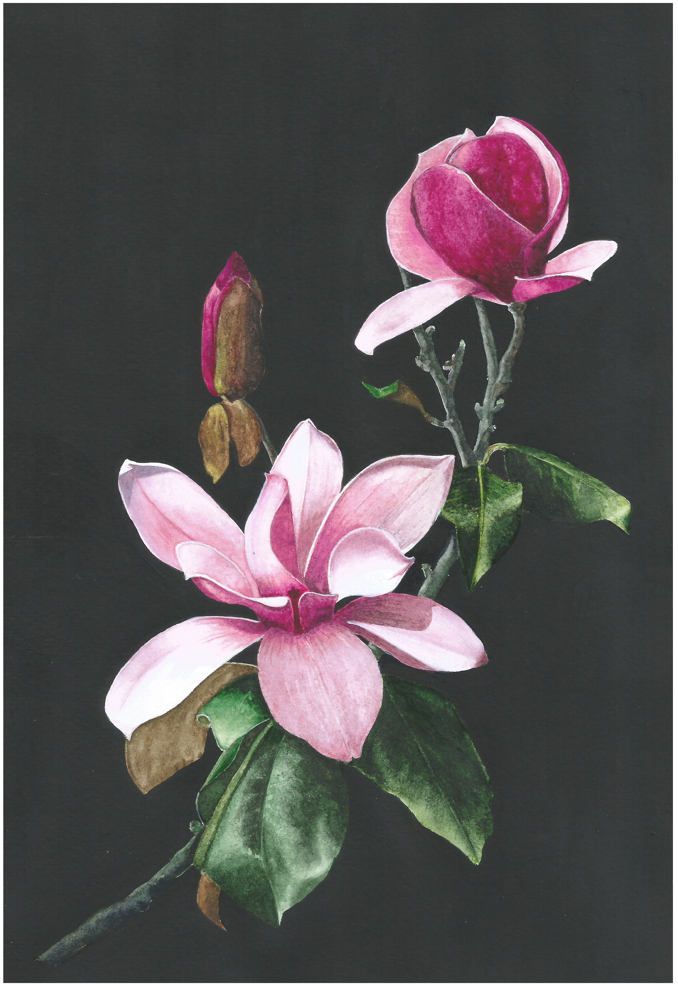 Original watercolour painting