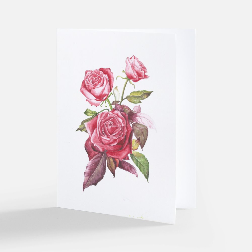 Rose Study in Blush Note Cards (Set of 10)